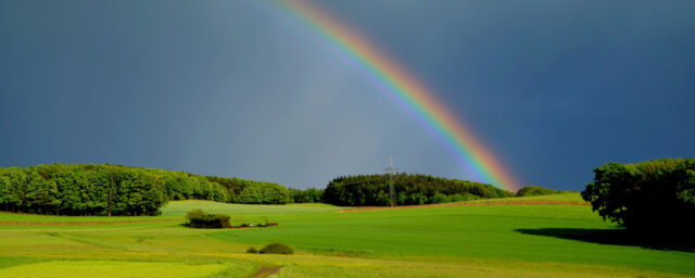 Att ha eller inte ha sommarplaner